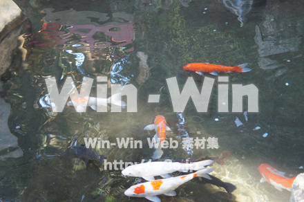 熱海未宮神社の写真素材 W-021561