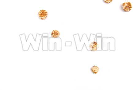 タイガーナッツの写真素材 W-021786