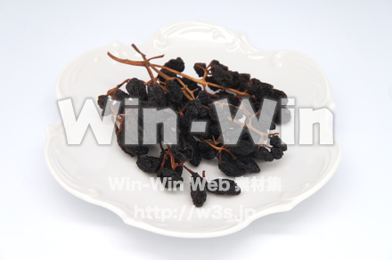 枝付干しぶどうの写真素材 W-020490