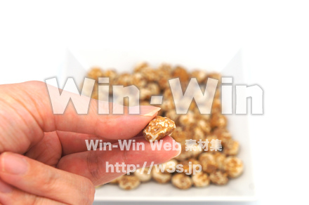 タイガーナッツの写真素材 W-021780