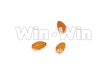 アーモンドの写真素材 W-021013