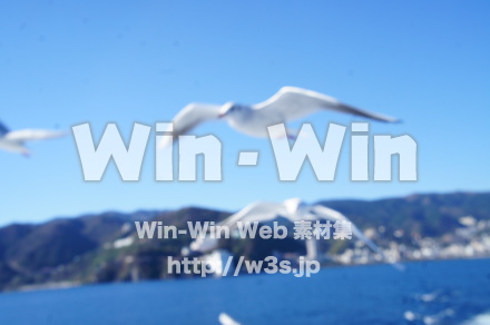 熱海港の写真素材 W-021598