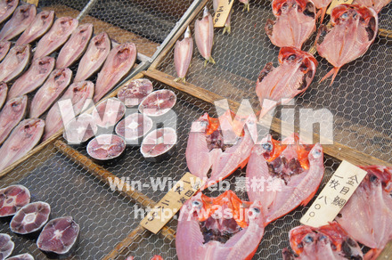 干物の写真素材 W-021549