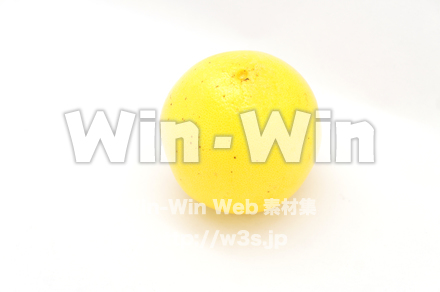 グレープフルーツの写真素材 W-020425