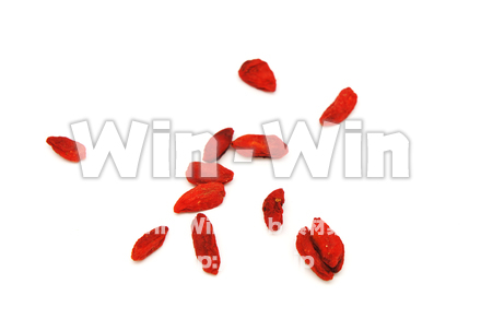 クコの実の写真素材 W-021793