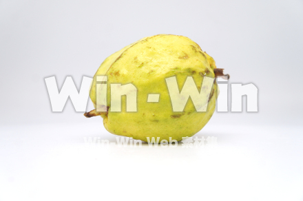 沖縄産グァバの写真素材 W-021113