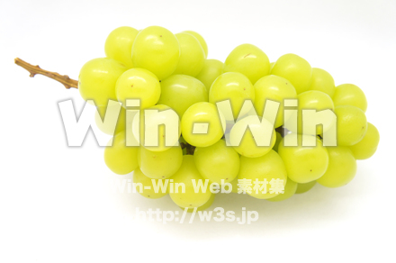 マスカットの写真素材 W-020451