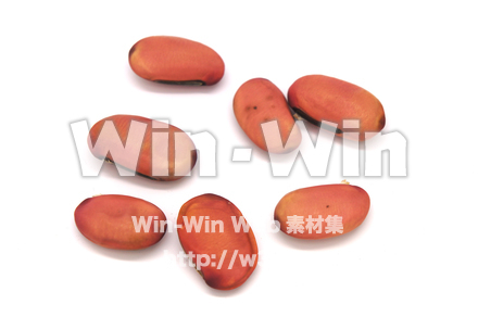 赤なたまめの写真素材 W-020797