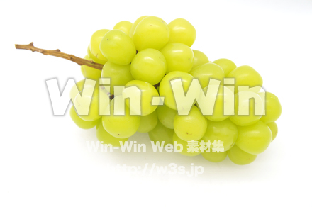 マスカットの写真素材 W-020450