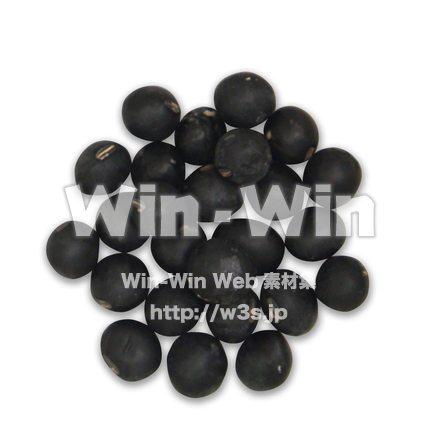 黒大豆の写真素材 W-020541