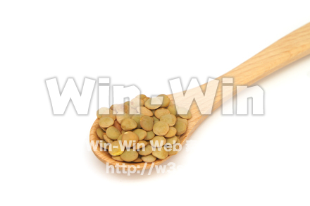 レンズ豆の写真素材 W-021014