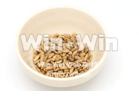 ひまわりの種の写真素材 W-021836