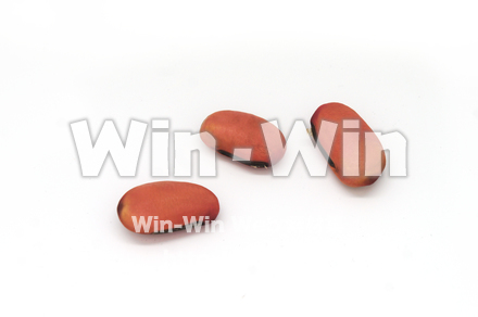 赤なたまめの写真素材 W-020798