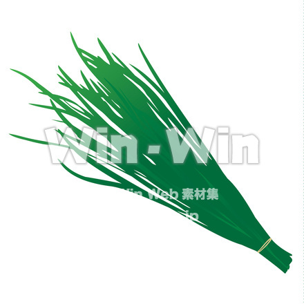 にらのCG・イラスト素材 W-020262