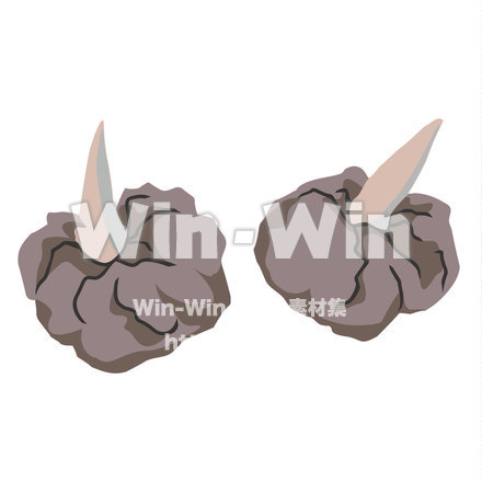 こんにゃく芋のCG・イラスト素材 W-021869