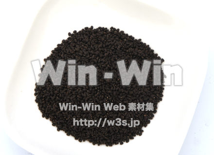 バジルシードの写真素材 W-020509