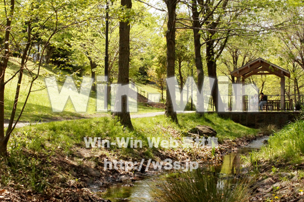 公園の写真素材 W-021205