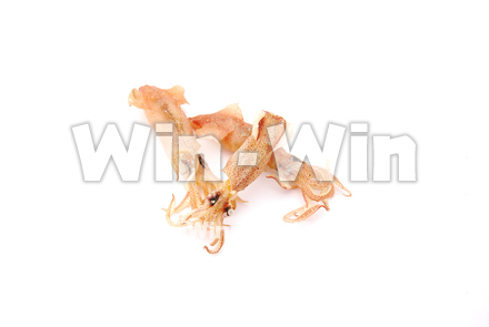 ベイカの丸干しの写真素材 W-021357