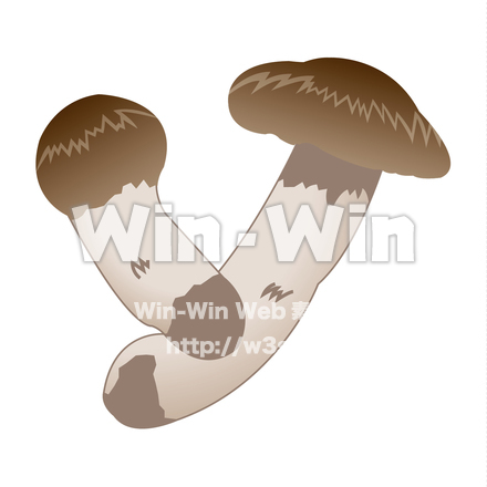松茸のCG・イラスト素材 W-020084