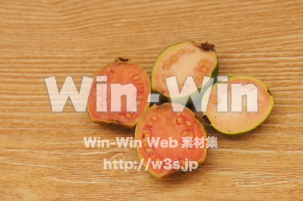 グアバの写真素材 W-021136