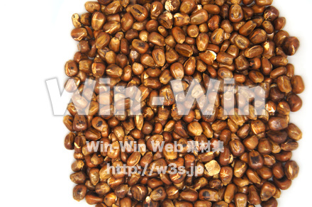 炒りとうもろこしの写真素材 W-020489