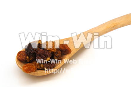 ゴールデンベリーの写真素材 W-021971