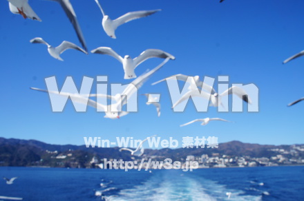 熱海港の写真素材 W-021601