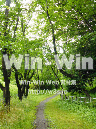 緑道の写真素材 W-021225