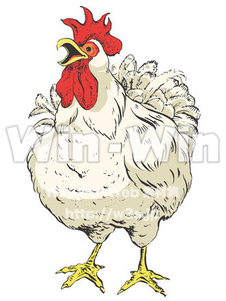 にわとりのCG・イラスト素材 W-021841