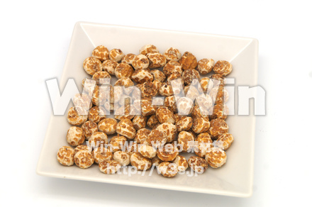 タイガーナッツの写真素材 W-021781