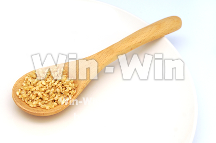 玄米の写真素材 W-020535