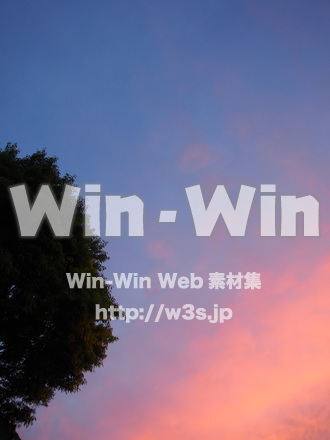 夕暮れの写真素材 W-020598