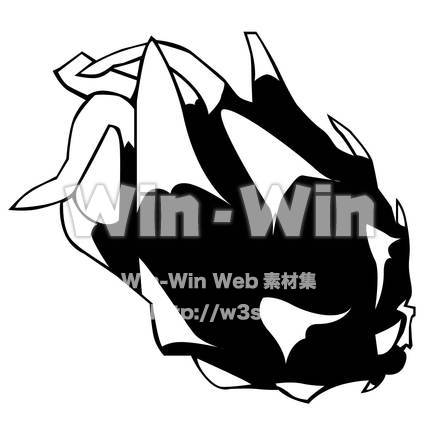 ドラゴンフルーツのシルエット素材 W-020624