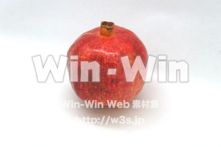 ザクロの写真素材 W-020427