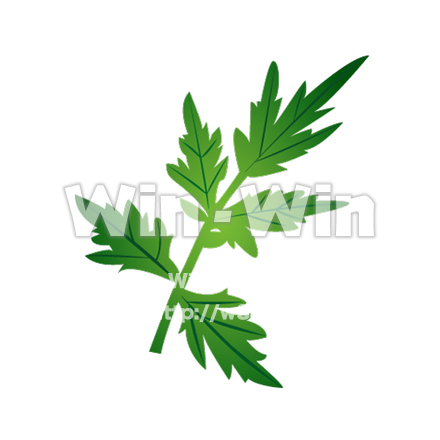 よもぎのCG・イラスト素材 W-021267