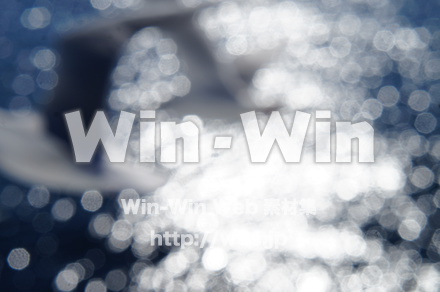 カモメの写真素材 W-021570