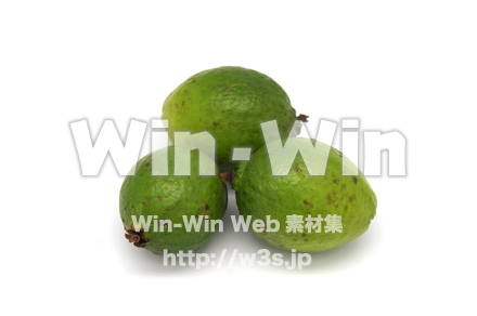 沖縄産グァバの写真素材 W-021109