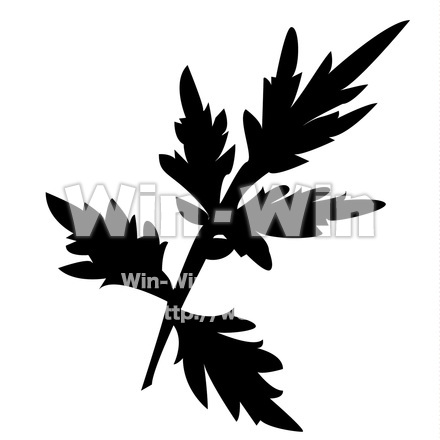 よもぎの葉のシルエット素材 W-020454