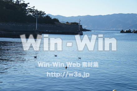 初島の写真素材 W-021580