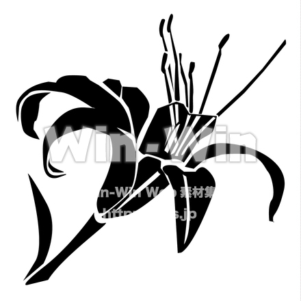 クワンソウのシルエット素材 W-020939