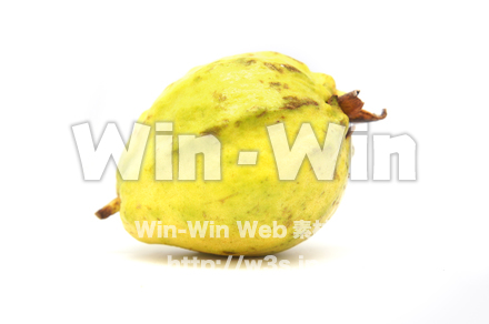 沖縄産グァバの写真素材 W-021114