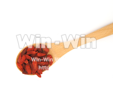 クコの実の写真素材 W-021800