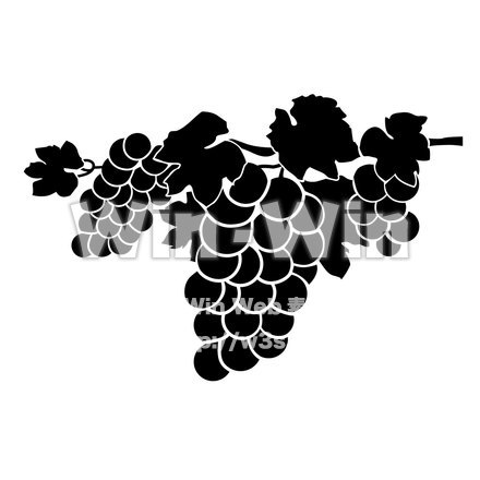 ぶどうのシルエット素材 W-020148