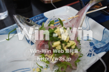 アジのたたきの写真素材 W-021519