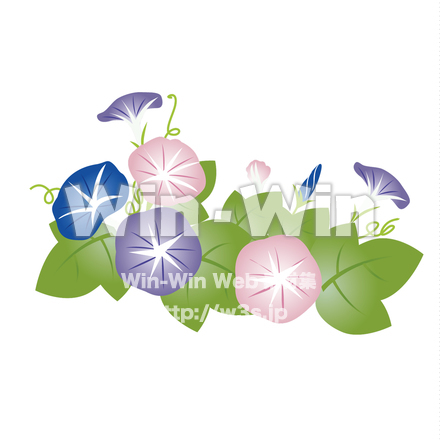 あさがおのCG・イラスト素材 W-020096