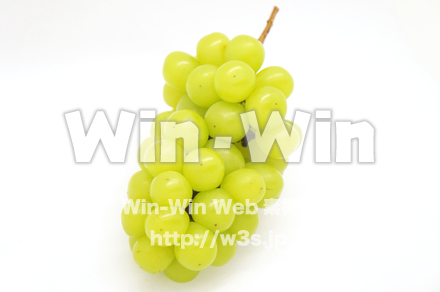 マスカットの写真素材 W-020447