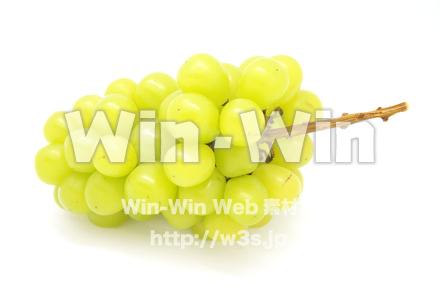 マスカットの写真素材 W-020449