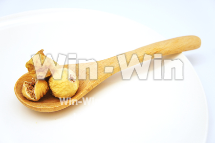 白いちじくの写真素材 W-021987