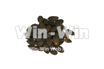 パンプキンシードの写真素材 W-020996