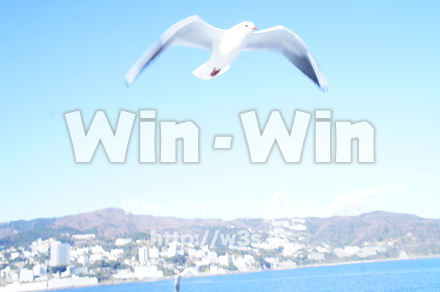 熱海港の写真素材 W-021597